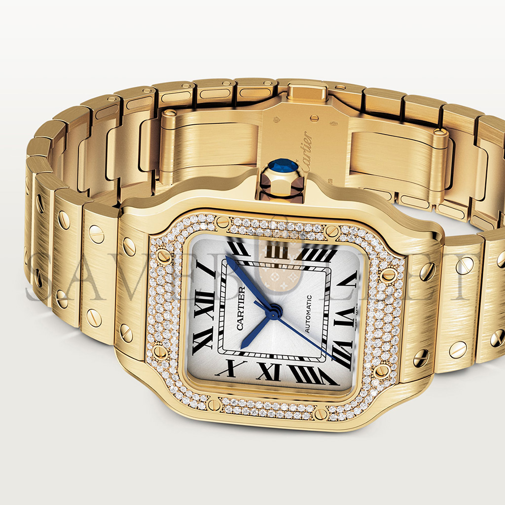 Ca*t*er santos de watch wjsa0010